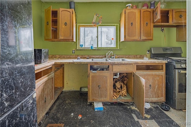 kitchen featuring stainless steel range and sink