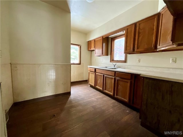 kitchen with a wealth of natural light, dark wood-type flooring, and sink