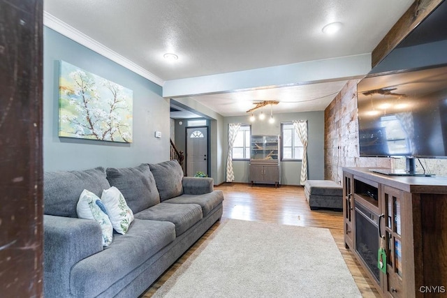 living room with hardwood / wood-style flooring and ornamental molding