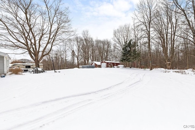 view of snowy yard