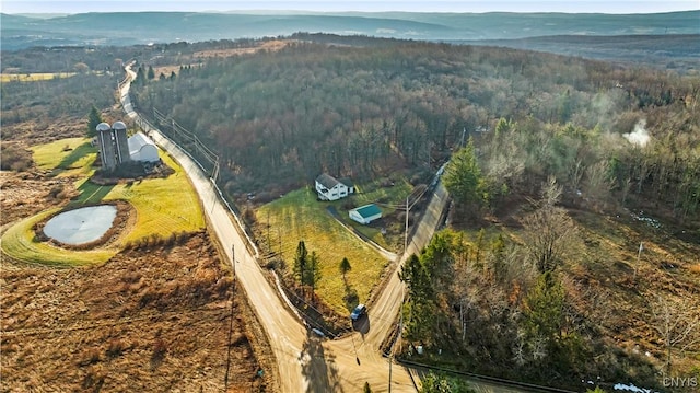 birds eye view of property with a mountain view