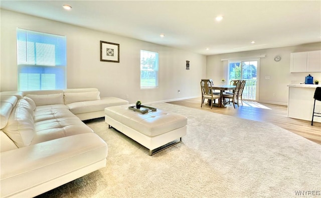 living room with light wood-type flooring