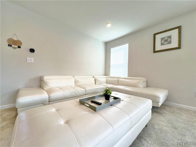 living room with light colored carpet