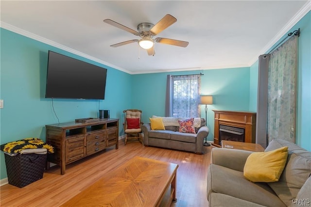 living room featuring ceiling fan, ornamental molding, and light hardwood / wood-style flooring