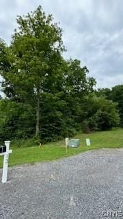 Listing photo 2 for LOT5 Calemad Dr, Sennett NY 13021