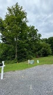 LOT5 Calemad Dr, Sennett, NY 13021 - photo 1