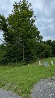 Listing photo 3 for LOT5 Calemad Dr, Sennett NY 13021