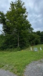 LOT5 Calemad Dr, Sennett, NY 13021 - photo 2