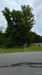 LOT5 Calemad Dr, Sennett, NY 13021 - photo 3