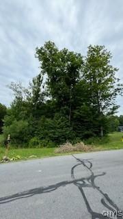 LOT5 Calemad Dr, Sennett, NY 13021 - photo 4