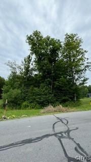 LOT5 Calemad Dr, Sennett, NY 13021 - photo 4