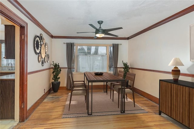 dining space with ceiling fan, light hardwood / wood-style flooring, and ornamental molding