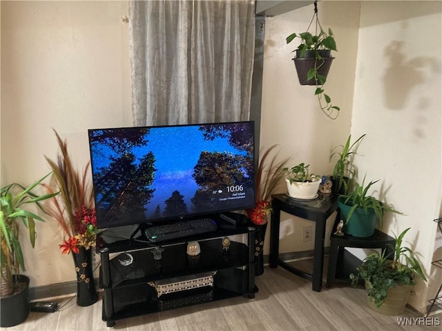 living room featuring hardwood / wood-style flooring