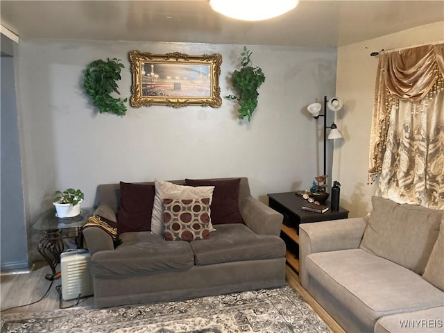 living room featuring hardwood / wood-style floors