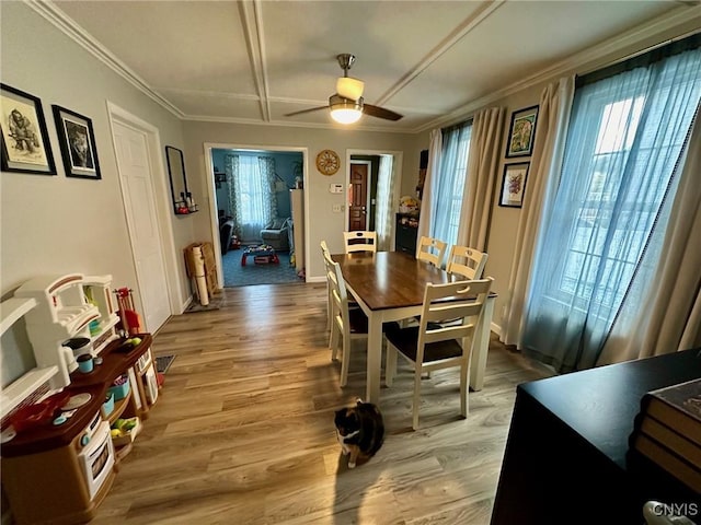 dining space featuring light hardwood / wood-style flooring, ceiling fan, and crown molding