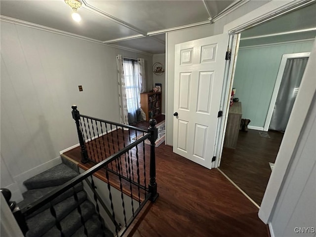 hallway with crown molding and dark wood-type flooring