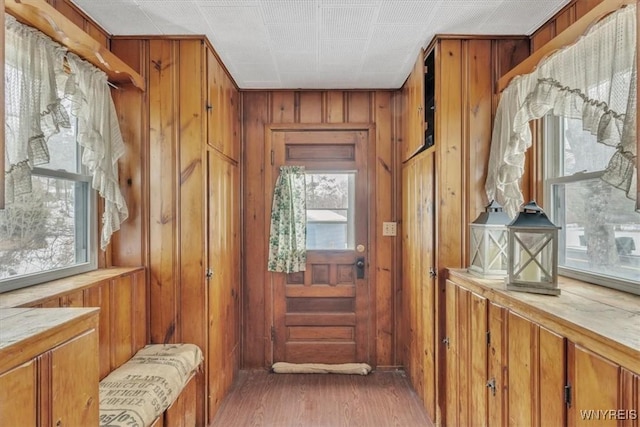 entryway with a healthy amount of sunlight, wooden walls, and light hardwood / wood-style flooring