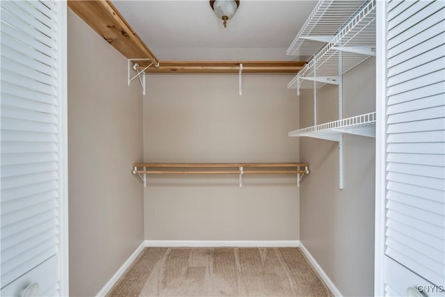 walk in closet with carpet flooring