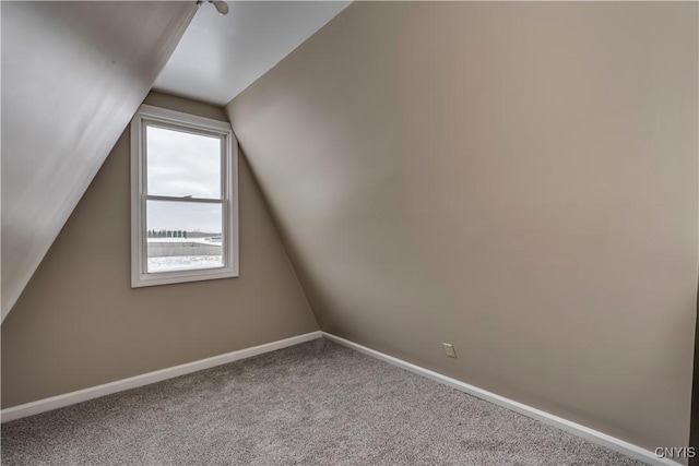 additional living space featuring carpet and lofted ceiling