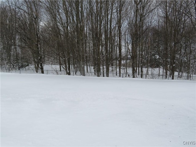 view of yard covered in snow