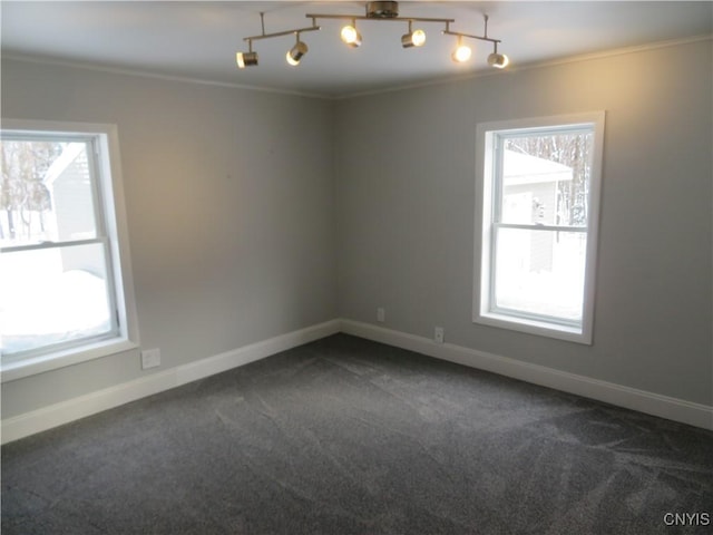 spare room with dark colored carpet and crown molding