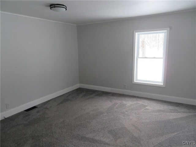 carpeted empty room with crown molding