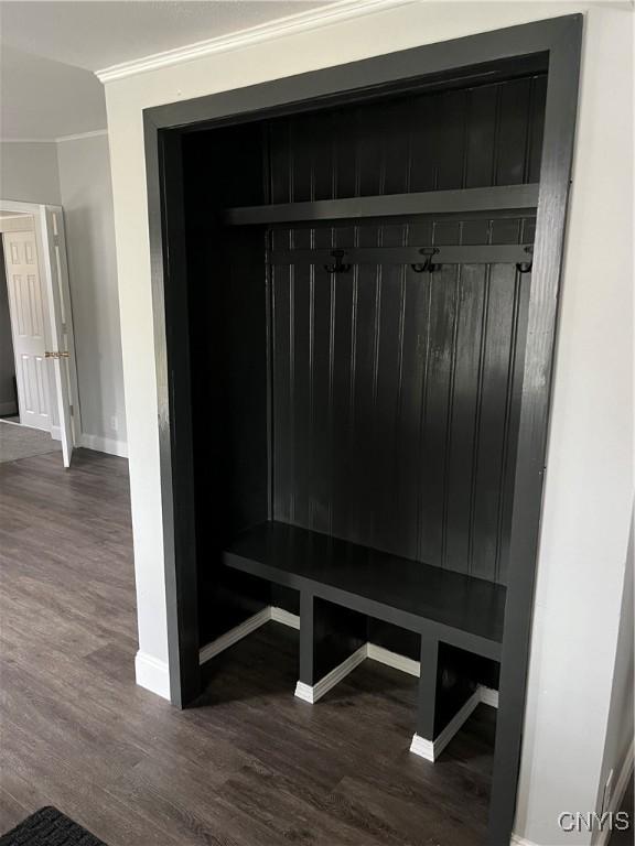 mudroom featuring crown molding and dark hardwood / wood-style flooring