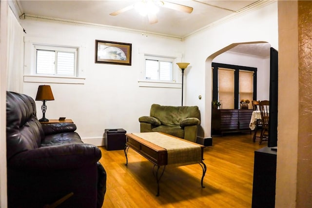 living room featuring wood-type flooring, ceiling fan, and ornamental molding