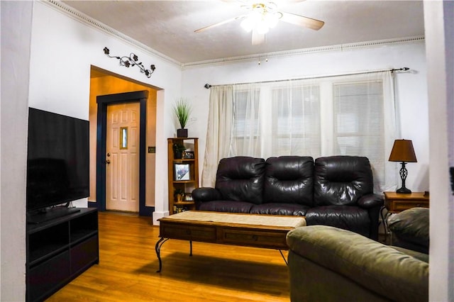 living room featuring hardwood / wood-style flooring, ceiling fan, and ornamental molding