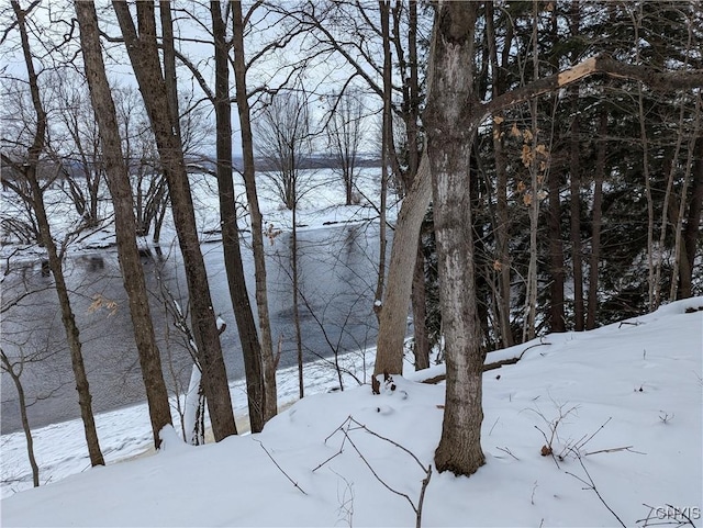 view of snowy landscape