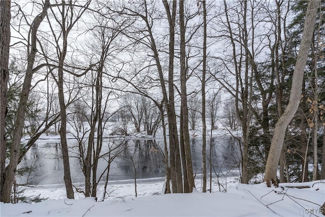 view of snowy landscape