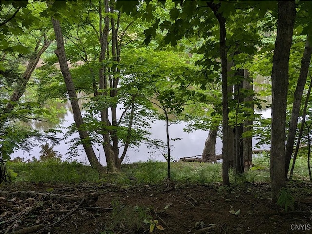 6661 Pine Grove Rd, Watson, NY 13343 - water view