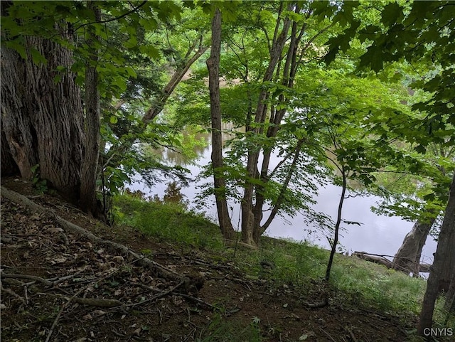 6661 Pine Grove Rd, Watson, NY 13343 - view of undeveloped land