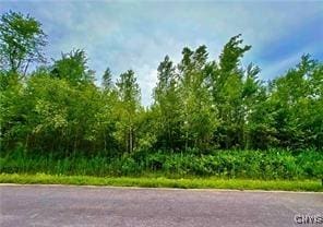 LOT20 Forest Ridge Dr, Rome-Outside NY, 13440 land for sale