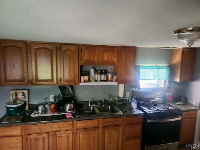 kitchen featuring stainless steel range oven and sink