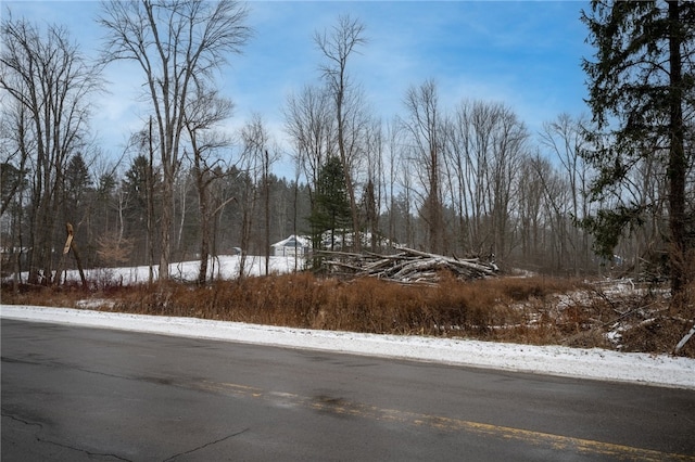 7158 Furnace Rd, Ontario NY, 14519 land for sale