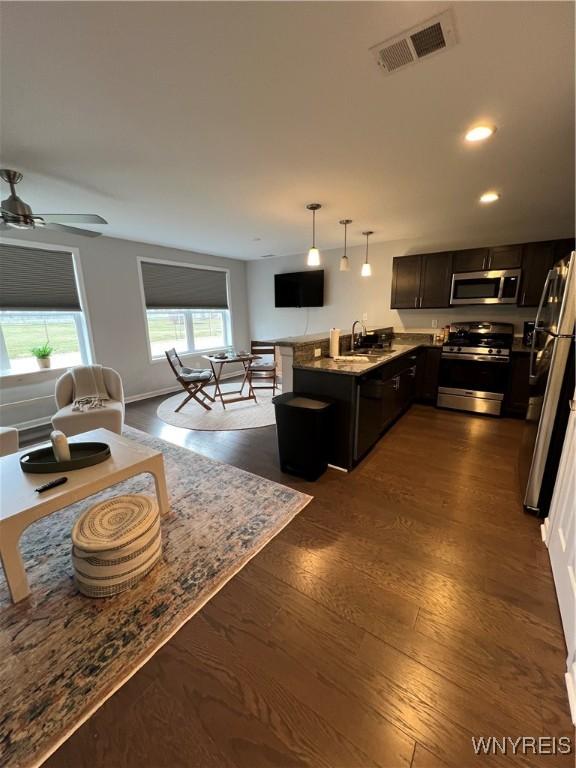 8977 Iroquois St, Evans, NY 14006 - living room featuring sink, dark wood-type flooring, and ceiling fan