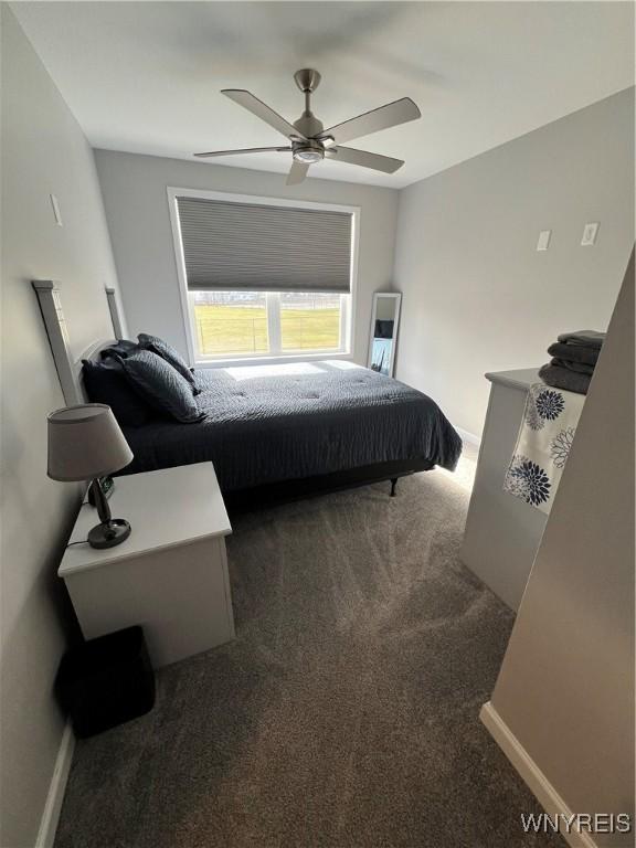 8977 Iroquois St, Evans, NY 14006 - carpeted bedroom with ceiling fan
