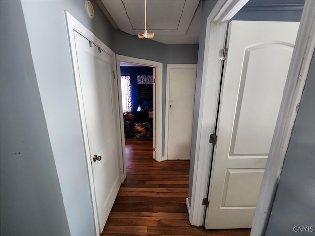 hallway with dark wood-type flooring