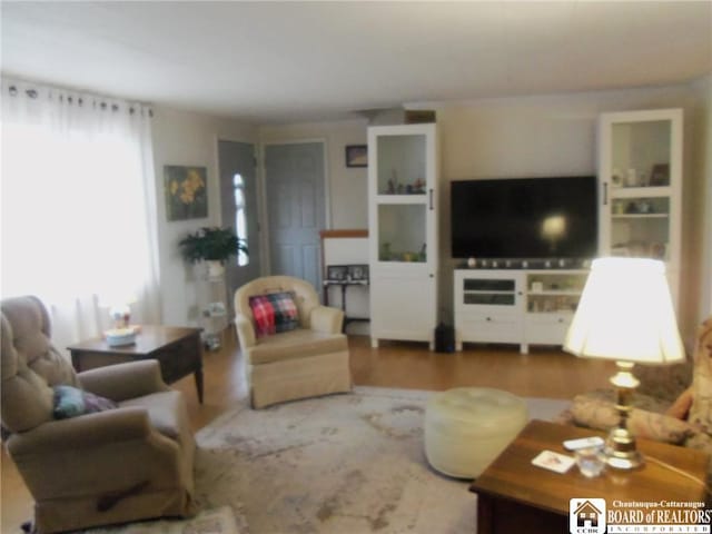 living room featuring hardwood / wood-style flooring