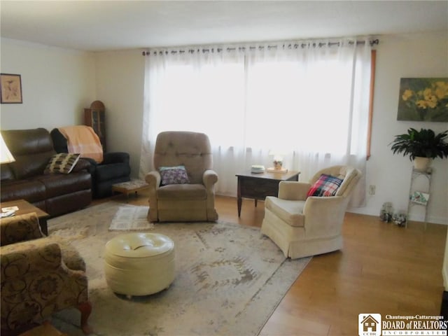 living room with wood-type flooring