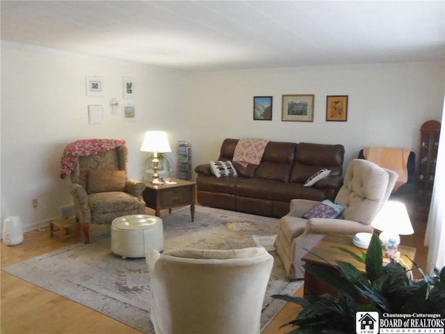 living room featuring light hardwood / wood-style floors