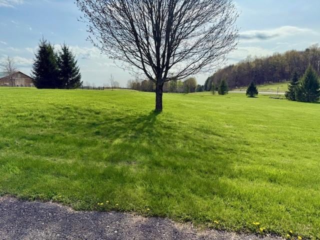 1220 County Road 24, Columbus, NY 13460 - photo 7
