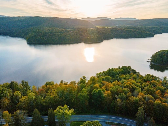 property view of water featuring a mountain view