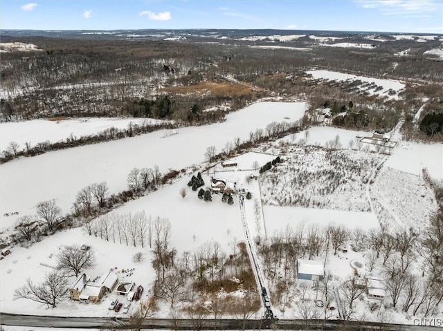 view of snowy aerial view