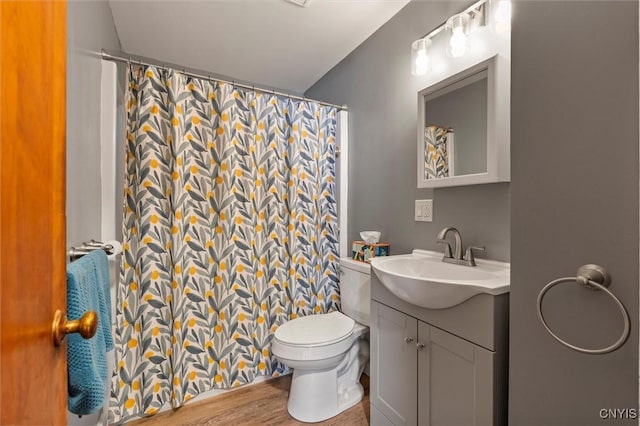 bathroom featuring hardwood / wood-style floors, vanity, and toilet