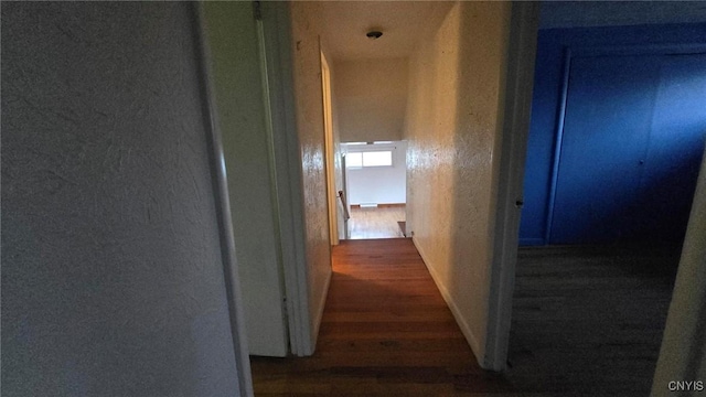 hall featuring dark wood-type flooring