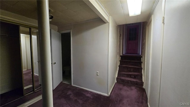 stairs featuring carpet floors and ornamental molding