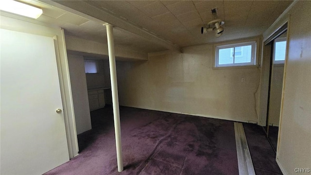 basement featuring carpet