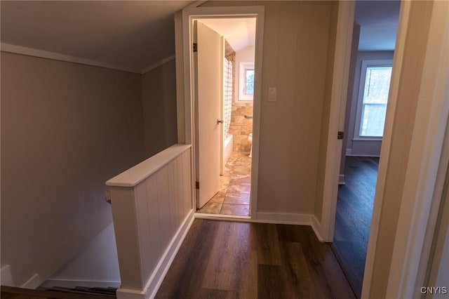 corridor featuring dark wood-type flooring and vaulted ceiling